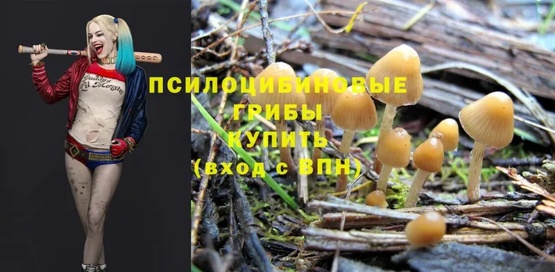 МЕГА онион  Лесосибирск  Галлюциногенные грибы MAGIC MUSHROOMS 